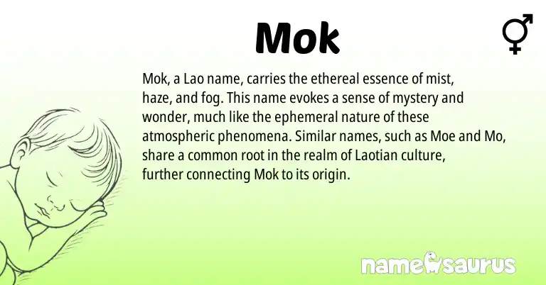 Infographic about Mok name meaning, Mok is a name from Lao origin(s).