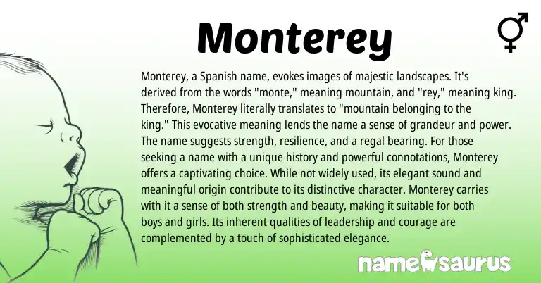 Infographic about Monterey name meaning, Monterey is a name from Spanish origin(s).