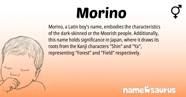 Infographic about Morino name meaning, Morino is a name from Latin origin(s).