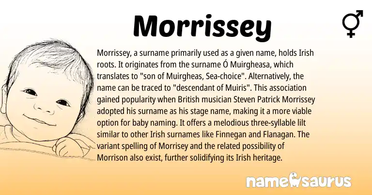 Infographic about Morrissey name meaning, Morrissey is a name from Irish, British origin(s).