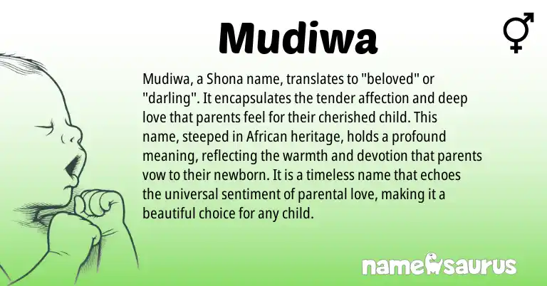 Infographic about Mudiwa name meaning, Mudiwa is a name from Shona, African origin(s).