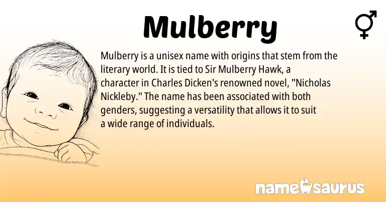 Infographic about Mulberry name meaning, Mulberry is a name from N/A origin(s).