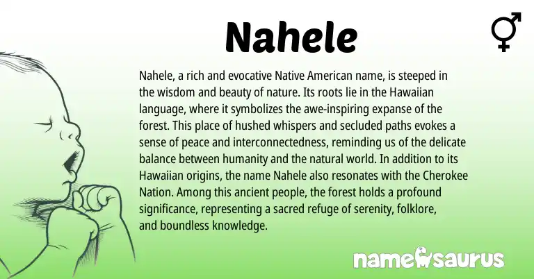 Infographic about Nahele name meaning, Nahele is a name from Native American, Cherokee, Hawaiian origin(s).