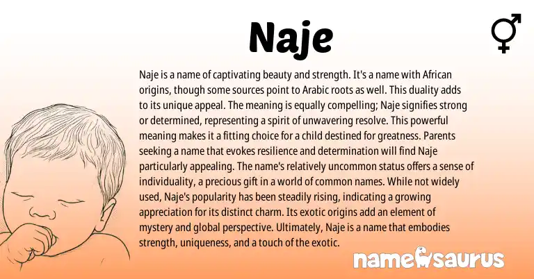 Infographic about Naje name meaning, Naje is a name from African origin(s).