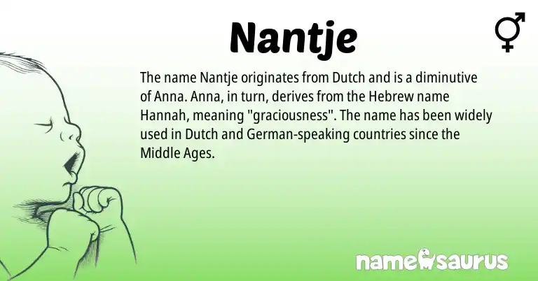 Infographic about Nantje name meaning, Nantje is a name from German, Dutch, Hebrew origin(s).