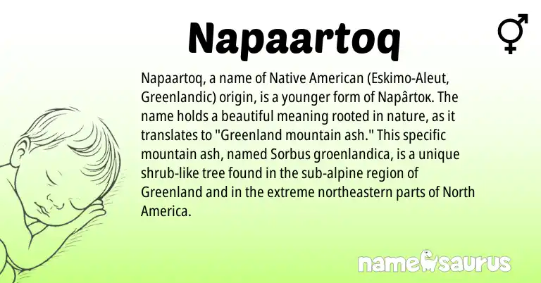 Infographic about Napaartoq name meaning, Napaartoq is a name from Native American, Aleut, Greenlandic origin(s).