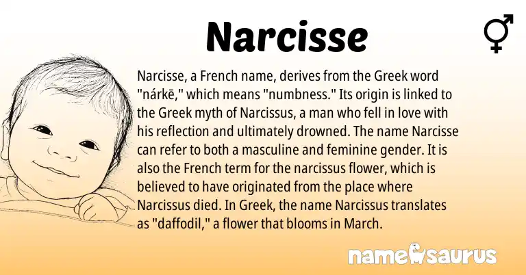 Infographic about Narcisse name meaning, Narcisse is a name from French, Greek origin(s).