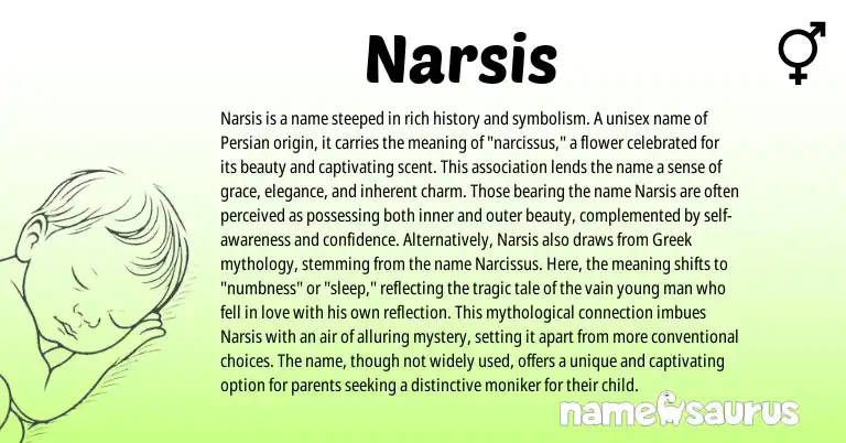 Infographic about Narsis name meaning, Narsis is a name from Persian, Greek origin(s).