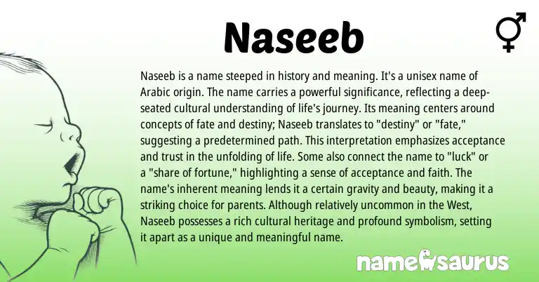 Infographic about Naseeb name meaning, Naseeb is a name from Arabic origin(s).