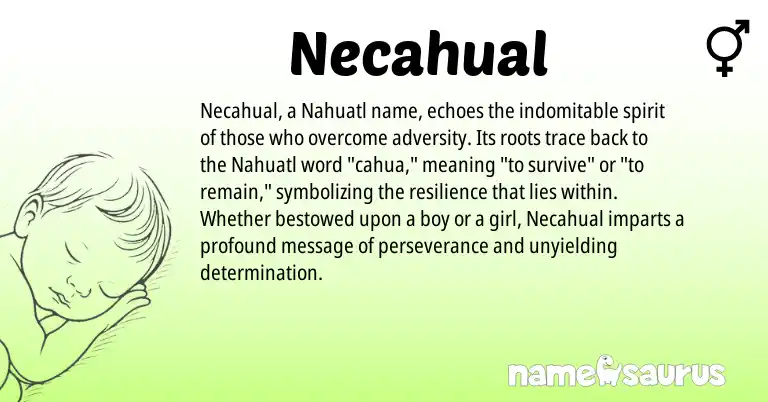 Infographic about Necahual name meaning, Necahual is a name from Nahuatl origin(s).