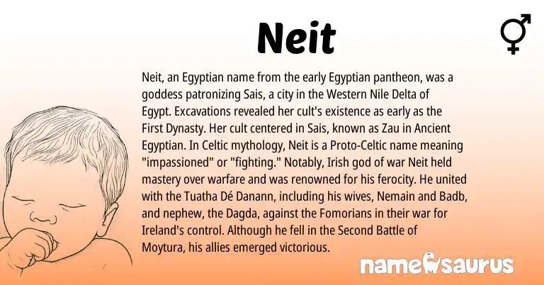 Infographic about Neit name meaning, Neit is a name from Irish, Ancient Egyptian, Ireland, Celtic, Egyptian, Proto-Celtic origin(s).