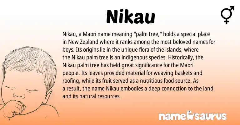 Infographic about Nikau name meaning, Nikau is a name from New Zealand, Maori origin(s).
