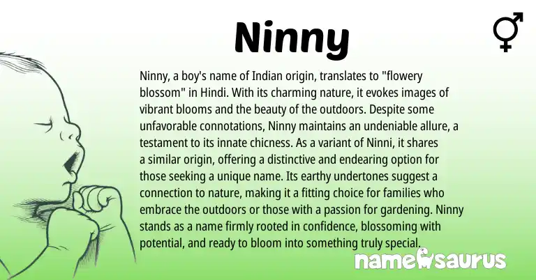 Infographic about Ninny name meaning, Ninny is a name from Hindi, Indian origin(s).