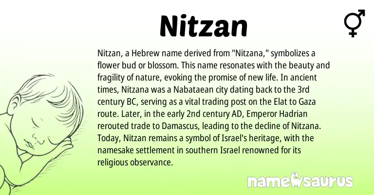 Infographic about Nitzan name meaning, Nitzan is a name from Hebrew origin(s).