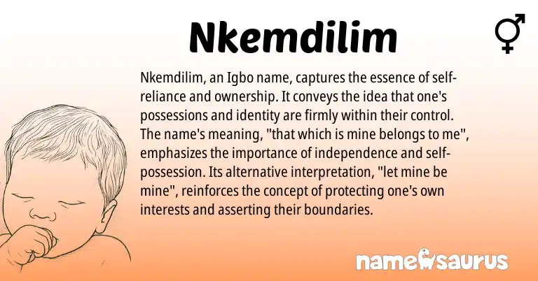 Infographic about Nkemdilim name meaning, Nkemdilim is a name from Igbo origin(s).