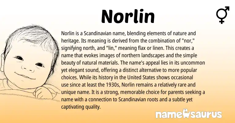 Infographic about Norlin name meaning, Norlin is a name from Scandinavian origin(s).