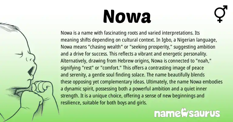 Infographic about Nowa name meaning, Nowa is a name from Urdu, Igbo, Nigerian, Hebrew, Sioux, American origin(s).