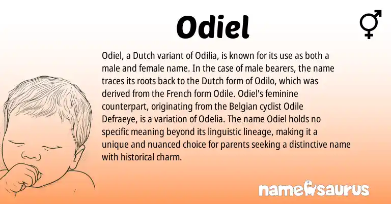 Infographic about Odiel name meaning, Odiel is a name from Dutch, French, Belgian origin(s).