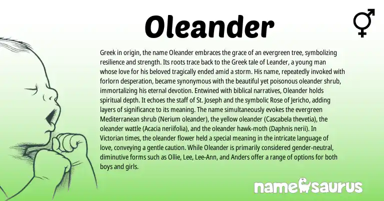 Infographic about Oleander name meaning, Oleander is a name from Greek origin(s).