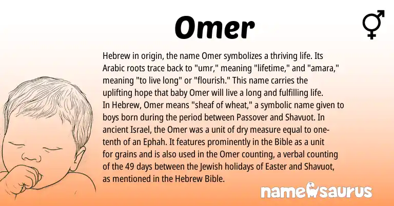 Infographic about Omer name meaning, Omer is a name from Jewish, Arabic, Hebrew origin(s).