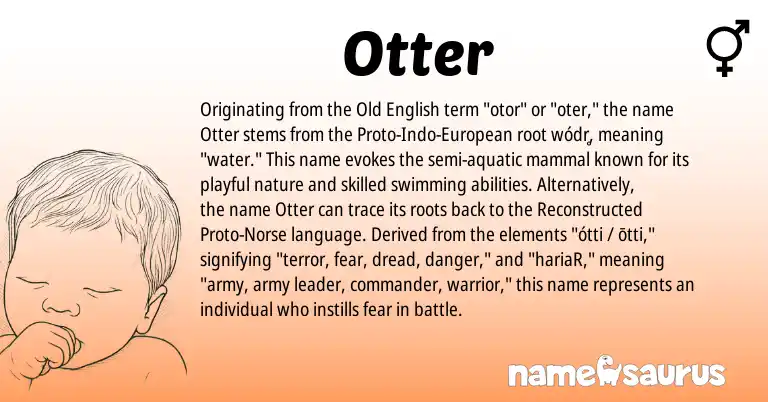 Infographic about Otter name meaning, Otter is a name from Old English, European, Norse origin(s).