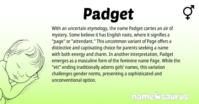 Infographic about Padget name meaning, Padget is a name from English origin(s).