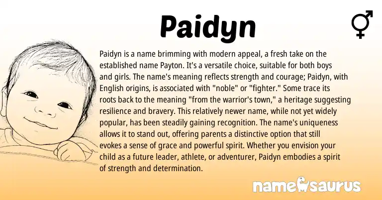 Infographic about Paidyn name meaning, Paidyn is a name from Other origin(s).