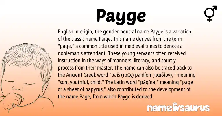 Infographic about Payge name meaning, Payge is a name from English, Latin, Ancient Greek origin(s).