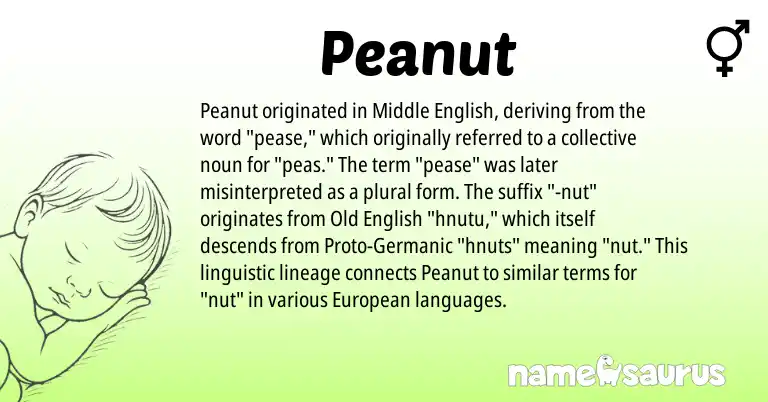 Infographic about Peanut name meaning, Peanut is a name from Middle English, Old English, Germanic, European origin(s).