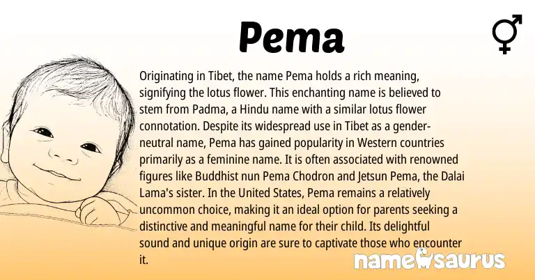 Infographic about Pema name meaning, Pema is a name from Hindu, United States origin(s).