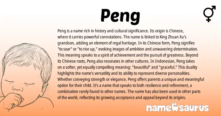 Infographic about Peng name meaning, Peng is a name from Chinese, Indonesian origin(s).