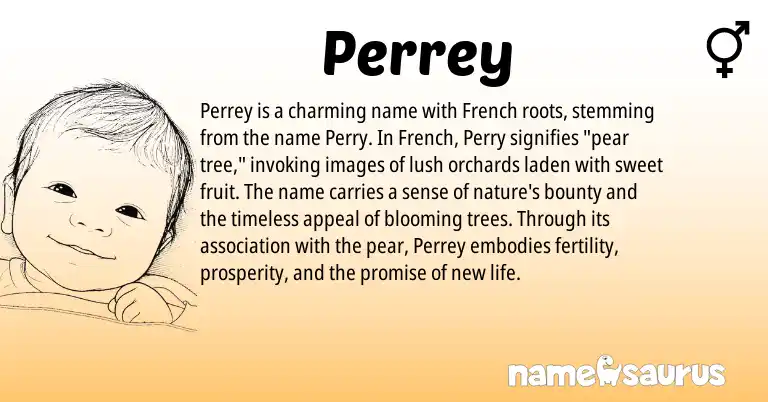 Infographic about Perrey name meaning, Perrey is a name from French origin(s).