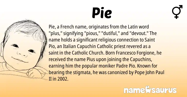 Infographic about Pie name meaning, Pie is a name from French, Pie, Latin, Italian origin(s).