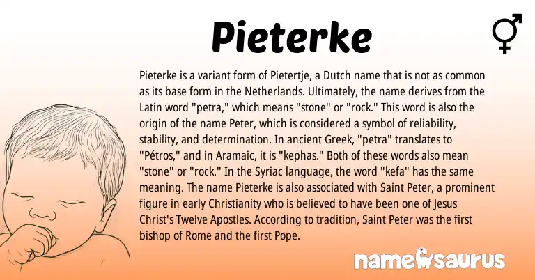 Infographic about Pieterke name meaning, Pieterke is a name from Christianity, Aramaic, Netherlands, Latin, Greek, Dutch origin(s).