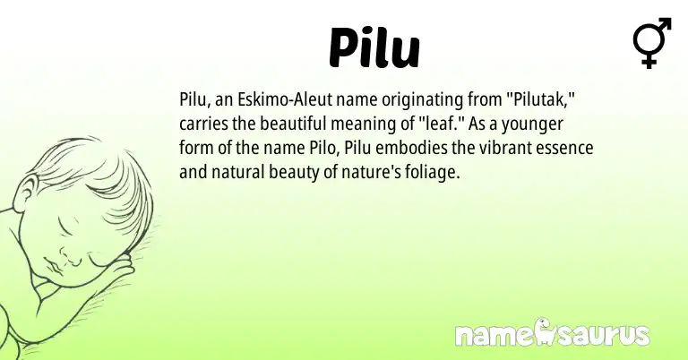 Infographic about Pilu name meaning, Pilu is a name from Aleut origin(s).