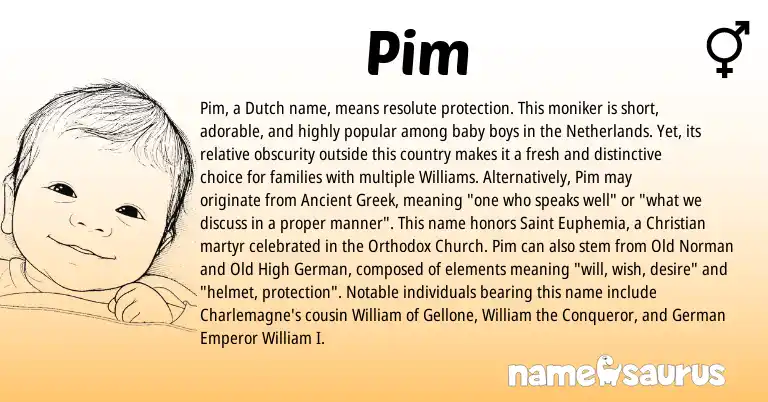 Infographic about Pim name meaning, Pim is a name from Ancient Greek, Old High German, Netherlands, Old Norman, German, Dutch origin(s).