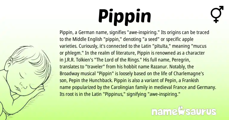 Infographic about Pippin name meaning, Pippin is a name from Middle English, German, Latin, Frankish origin(s).