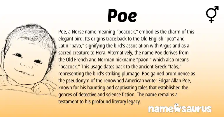 Infographic about Poe name meaning, Poe is a name from Old French, Latin, Greek, Old English, Norman, American, Norse origin(s).