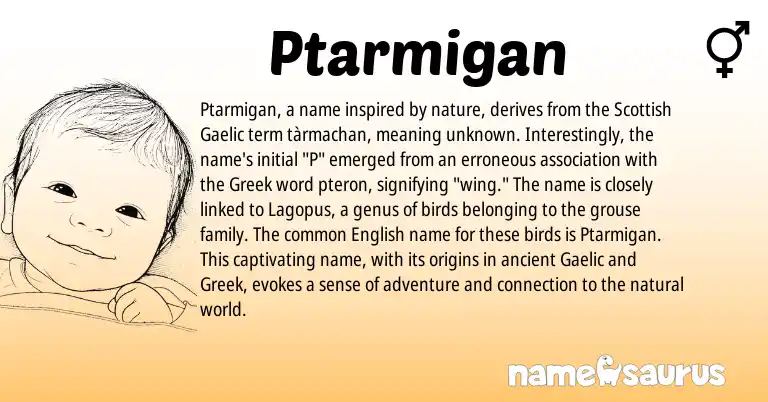 Infographic about Ptarmigan name meaning, Ptarmigan is a name from English, Gaelic, Scottish, Greek origin(s).