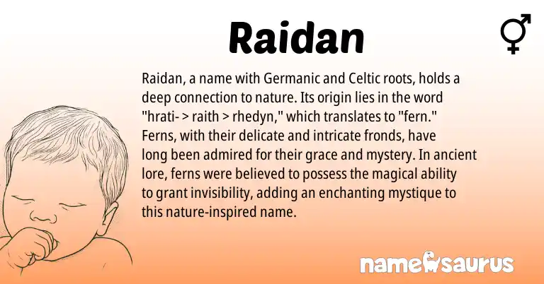 Infographic about Raidan name meaning, Raidan is a name from Germanic, Celtic origin(s).