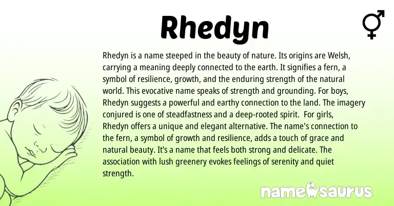 Infographic about Rhedyn name meaning, Rhedyn is a name from Welsh origin(s).
