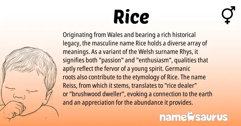 Infographic about Rice name meaning, Rice is a name from Germanic, Welsh origin(s).