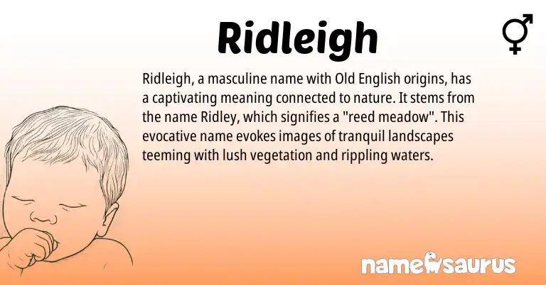 Infographic about Ridleigh name meaning, Ridleigh is a name from Old English origin(s).