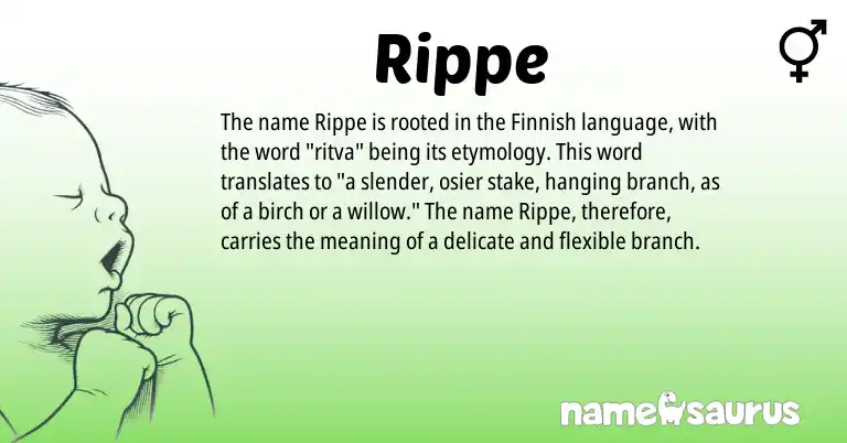 Infographic about Rippe name meaning, Rippe is a name from Finnish origin(s).