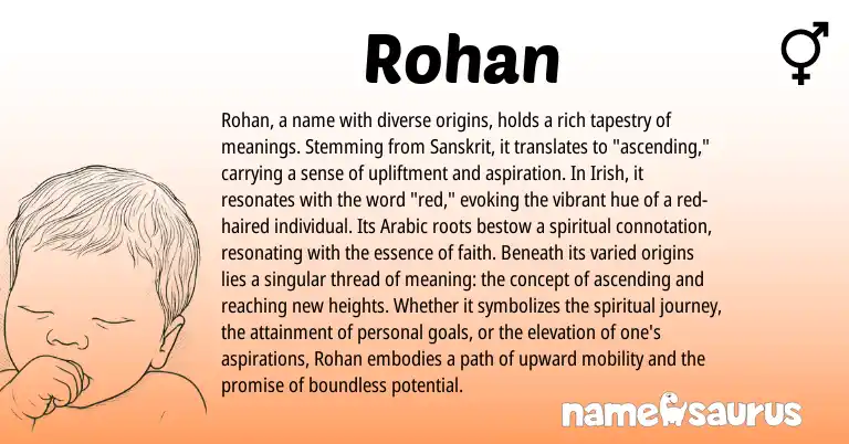 Infographic about Rohan name meaning, Rohan is a name from Irish, Sanskrit, Arabic origin(s).