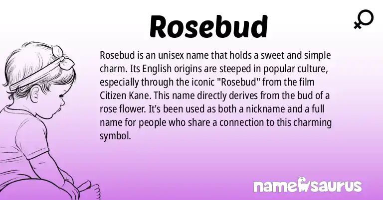 Infographic about Rosebud name meaning, Rosebud is a name from English, Popular Culture origin(s).