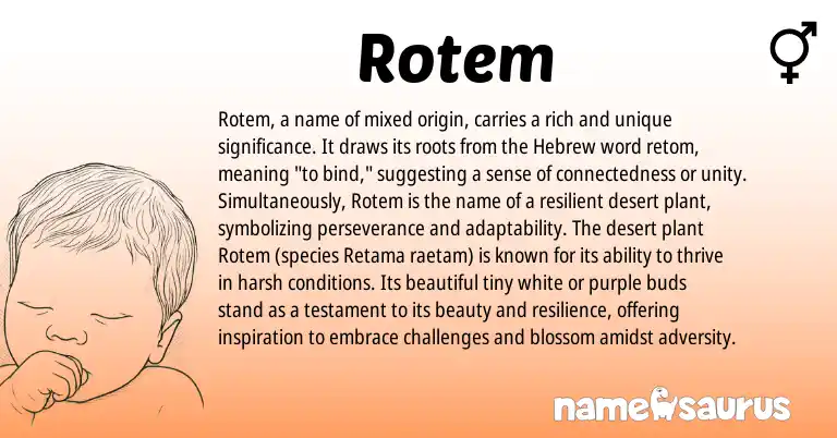 Infographic about Rotem name meaning, Rotem is a name from Hebrew origin(s).