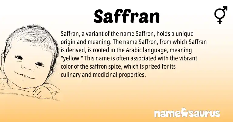 Infographic about Saffran name meaning, Saffran is a name from Arabic origin(s).