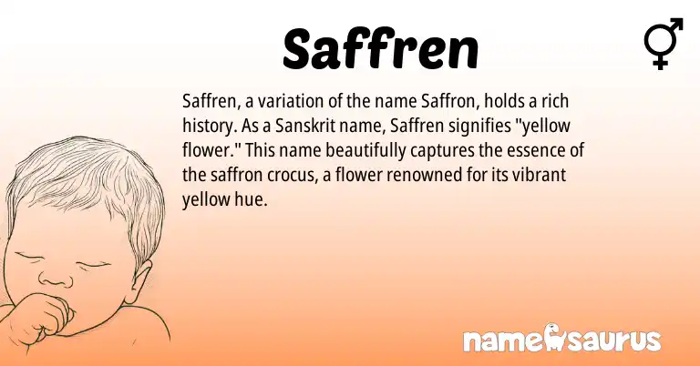 Infographic about Saffren name meaning, Saffren is a name from Sanskrit origin(s).