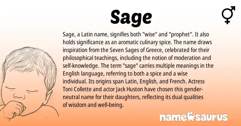 Infographic about Sage name meaning, Sage is a name from English, Greece, French, Latin origin(s).